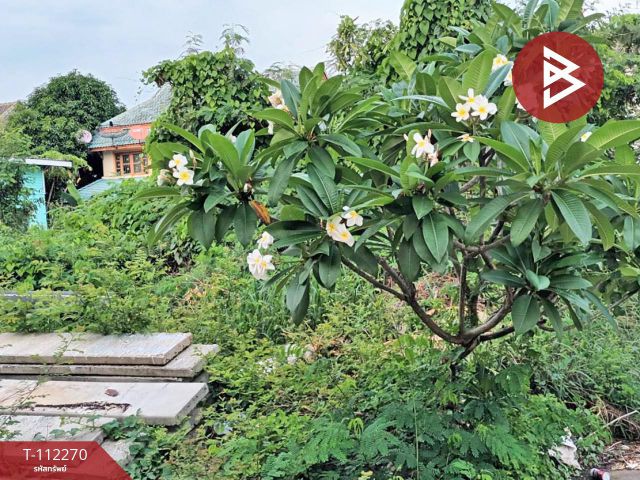 ขายที่ดินใน หมู่บ้านพฤกษา 2 รังสิต-คลอง 8 ปทุมธานี