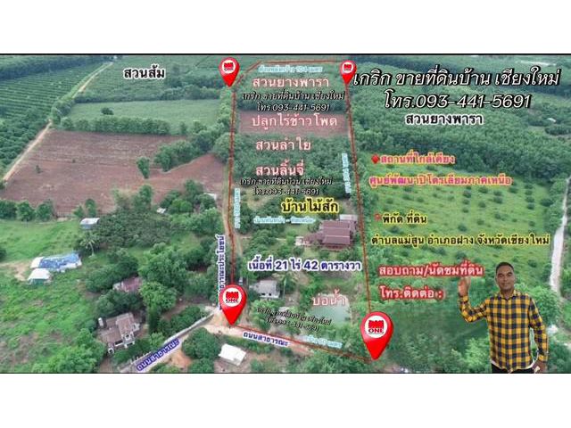 ขายด่วน บ้านเรือนไทยไม้สัก21ไร่1งานต.แม่คะ อ.ฝาง จ.เชียงใหม่09344