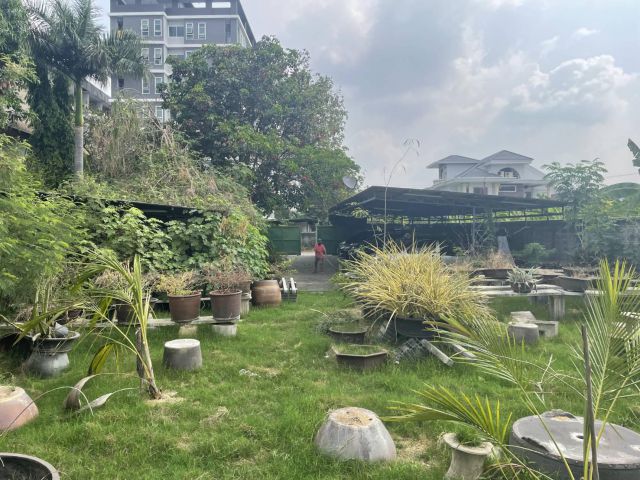 ขายที่ดินสุขุมวิท 77 ที่ดินแปลงใหญ่ 191 ตร.ว อ่อนนุช 14 อยู่อ่อนนุชช่วงต้นๆ ใกล้ BTS อ่อนนุช ถนนหน้าที่ดินกว้าง สภาพแวดล