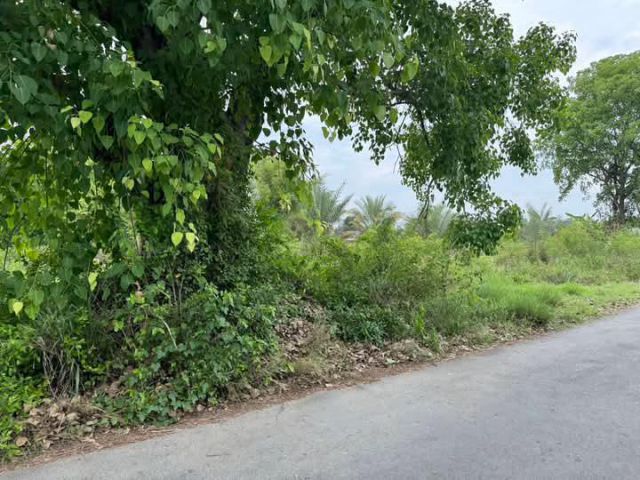 ขายที่ดินติดถนนบ้านมะขุนหวานสันป่าตองโฉนดพร้อมโอน