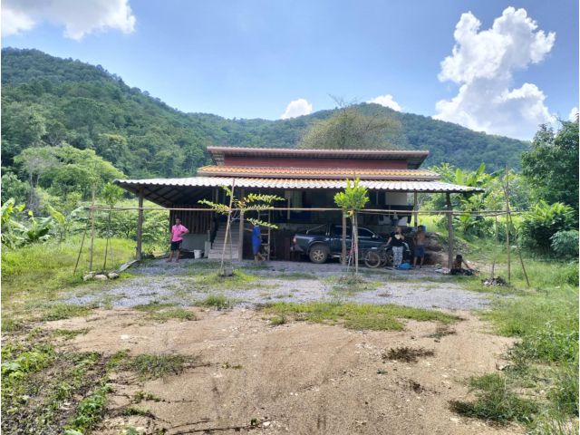 บ้านสวนติดภูเขา 6 ไร่ ต.ศรีสองรัก อ.เมืองเลย