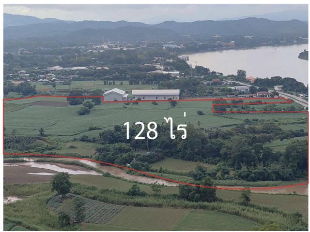 ขายที่ดินเปล่า ขนาด 128 ไร่ อ.เชียงแสน จ.เชียงราย