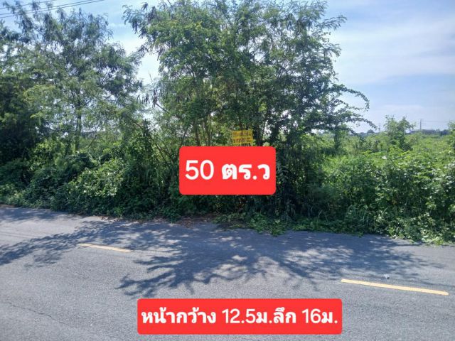 ●○●○●○●ที่ดินราคาถูก 50 ตร.ว สาธารณูปโภคครบครัน●○●○●○●