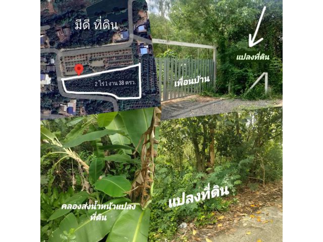 ขายที่ดิน พื้นที่ 2 ไร่ 1 งาน 38 ตรว.ติดถนนคอนกรีตไฟฟ้าประปาเข้าถึงมีเพื่อนบ้าน