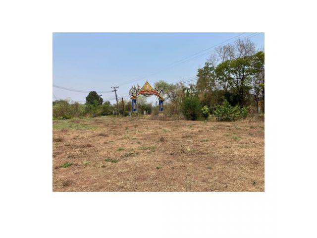 ขายที่ดินติดถนนคอนกรีต แยกหนองไผ่-วังหูกวาง