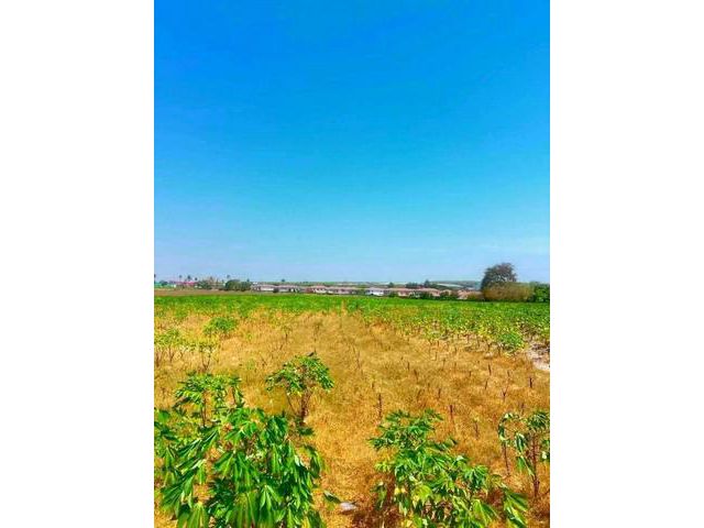 ขายที่ดินสวยศรีราชาชลบุรี 18  ไร่