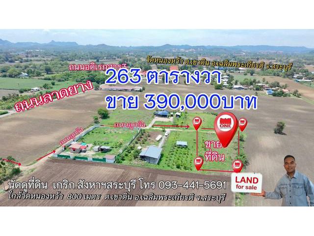 ขายที่ดินราคาถูกสระบุรีใกล้วัดหนองหว้า800ม อ.เฉลิมพระเกียรติ จ.สร