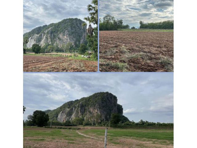 ที่ดิน วิวเขาลูกโตๆ