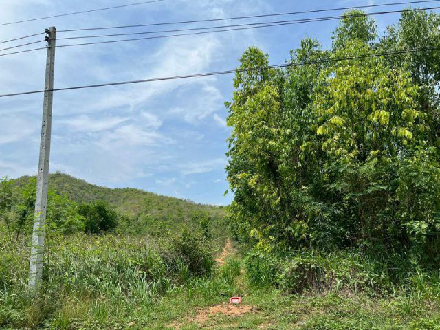 ขายที่ดิน 42-3-56 ไร่ ต.กลัดหลวง อ.ท่ายาง จ.เพชรบุรี