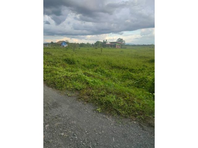 ขายที่ดินบ้านแมสันป่าตองโฉนดสี่เหลี่ยมโฉนดพร้อมโอน