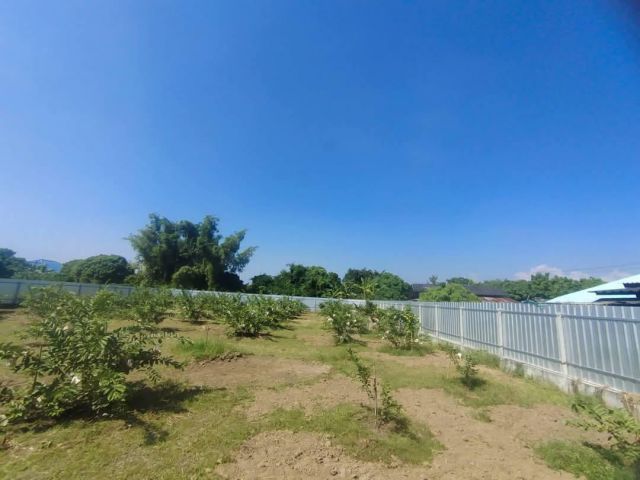 ขายที่ดินตำบลหนองตองบ้านเชียงแสนหางดงพร้อมโอน