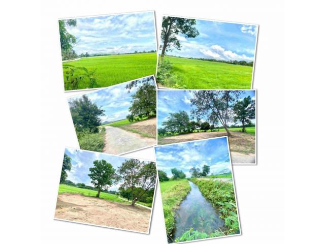 ขายที่ดินเกือบ 7ไร่ ดินดี น้ำสะดวก ใกล้คลองใหญ่ ติดถนนคอนกรีต ถมเเล้ว 1 งานน้ำไฟผ่าน ใกล้ถนนสายหลัก 1 กม. ปากท่อ ราชบุรี