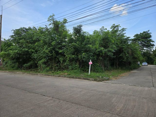 ขายที่ดิน หมู่บ้านแสงอรุณวิลล่า