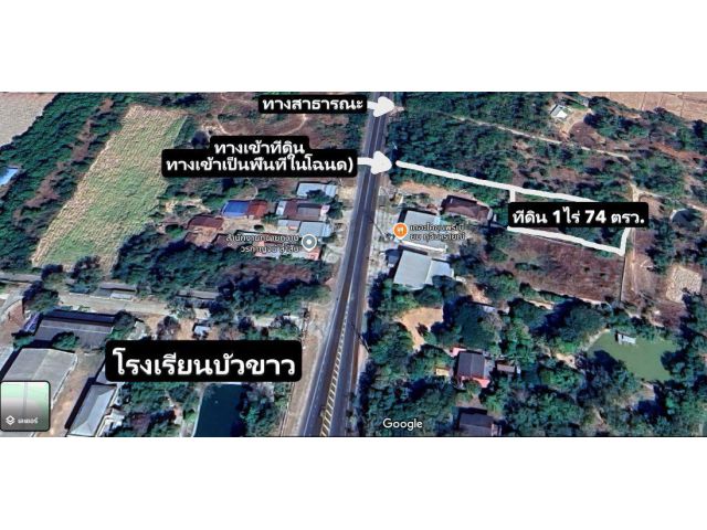 ขายที่ดินตรงข้ามโรงเรียนบัวขาว 1ไร่เศษ