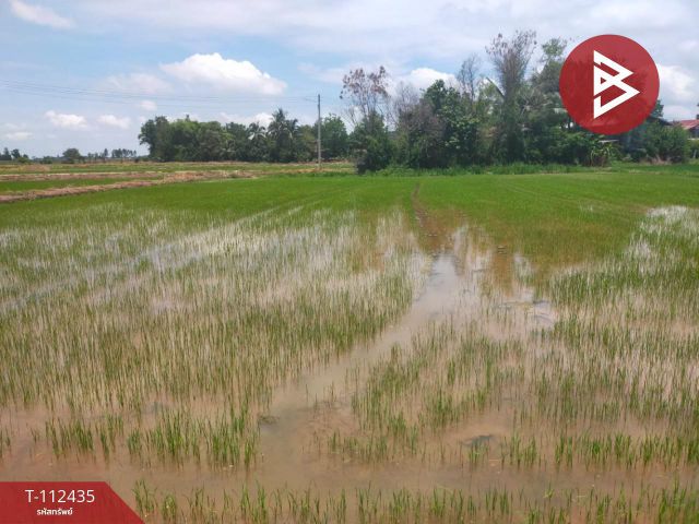 ขายที่ดิน เนื้อที่ 1 ไร่ 3 งาน 74 ตร.วา กงไกรลาศ สุโขทัย