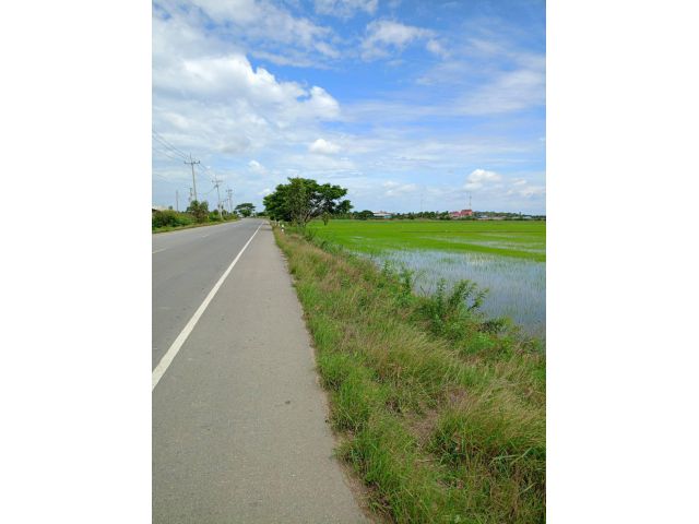 ขายที่ดิน307-ไรีไร่ละ220000-ติดถนนลาดยาง+คลองดินใหญ่ อ.บางปลาม้า จ.สุพรรฯเหมาะทำฟาร์มเลี้ยงไก่เป็ดปลา/สวนผสม/สวนมะพร้าวปาล๋ม