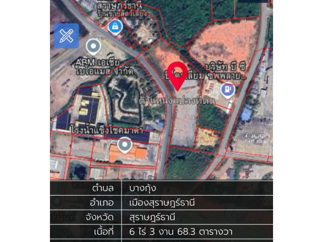 ขายที่ดินในสุราษฎร์ธานีใกล้ปากน้ำตาปี
