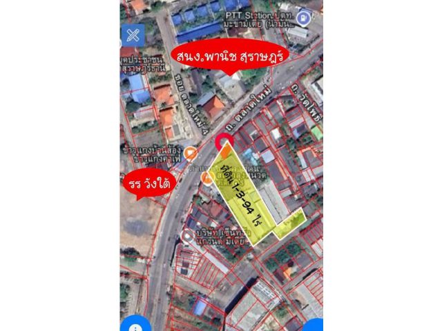 ขายที่ดินในเมืองสุราษฎร์ธานีหน้าโรงแรมวังใต้