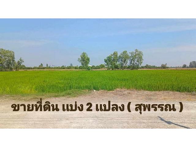 ขายที่ดิน เเบ่งเเปลงขาย ใกล้ตัวเมืองสุพรรณ น้ำไฟ พร้อม
