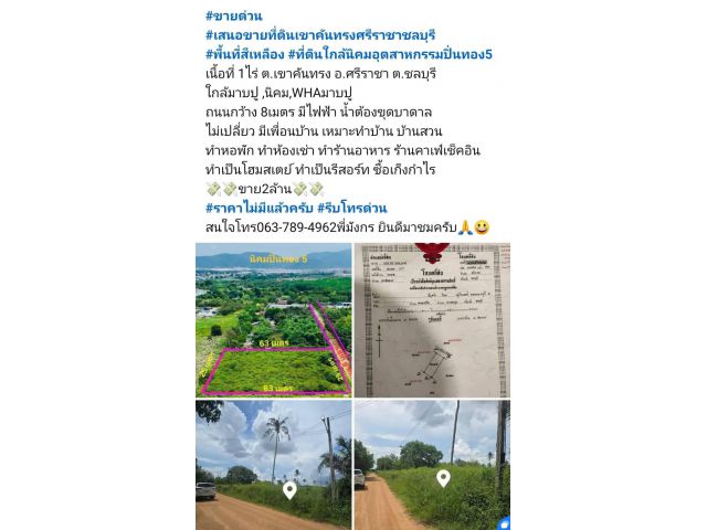 #ขายด่วน #เสนอขายที่ดินเขาคันทรงศรีราชาชลบุรี #พื้นที่สีเหลือง #ที่ดินใกล้นิคมอุตสาหกรรมปิ่นทอง5 เนื้อที่ 1ไร่