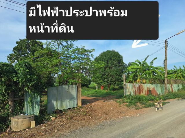 ขายยกแปลง 6 ไร่ 890,000 บาท