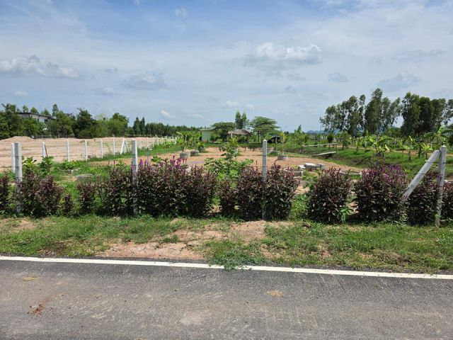 ที่ดินเนื้อที่ 2ไร่ พร้อมบ่อน้ำ ที่ดินถมแล้ว ล้อมรั้วแล้ว โฉนดครุฑแดง อยู่ในแหล่งชุมชน ปลูกต้นไม้เต็มพื้นที่️