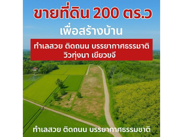 ขายที่ดิน 100 ตรวา ติดถนน เพื่อปลูกบ้าน