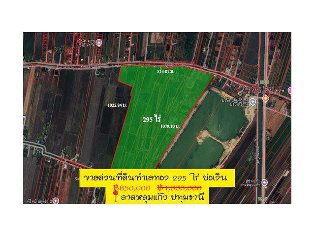 ขายที่ดิน 295 ไร่ ถูกกว่าตลาด เพียง 850,000 /ไร่ ราคาตลาด 1ล้านอัพ+++