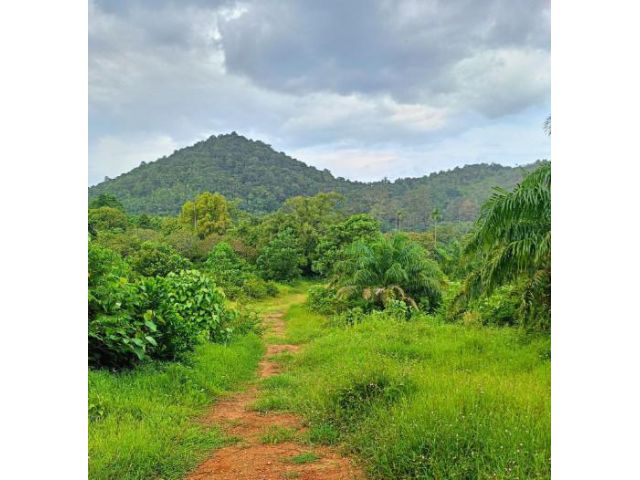 ที่ดินติดทะเลอันดามัน