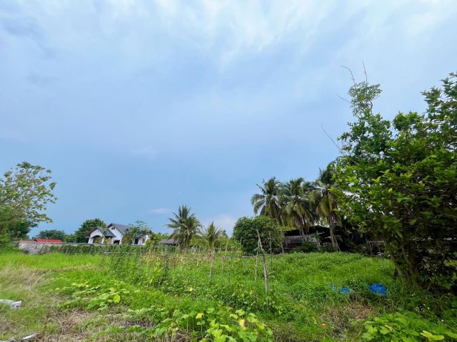 ที่ดินเขตชุมชน 1 ไร่ 52 ตร.ว  บ้านร้องขี้เหล็ก ต.เชิงดอย อ.ดอยสะเก็ด จ.เชียงใหม่