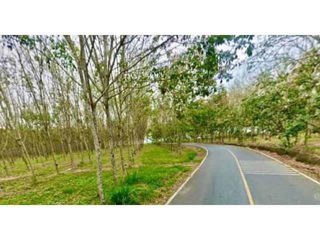 ขายที่ดินหนองเสือช้าง หนองใหญ่ ชลบุรี