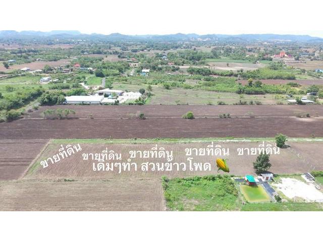 ขายที่ดินโฉนดครุฑแดงสระบุรีตำบลเขาดินพัฒนา1ไร่ราคา7แสน5หมื่นบาท