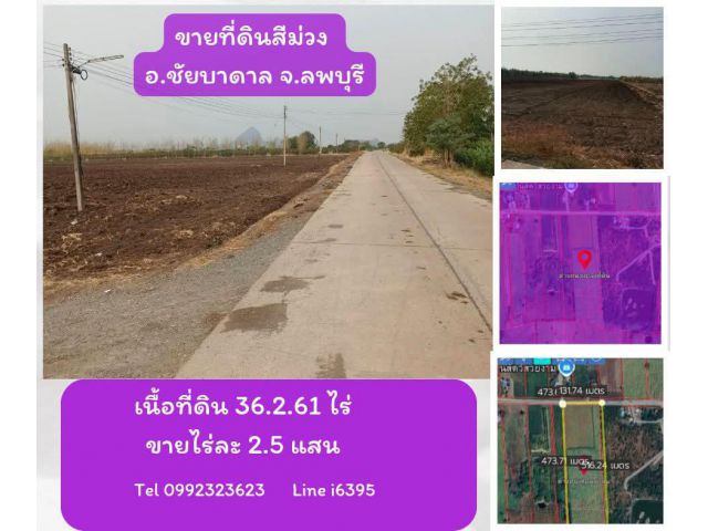 ขายที่ดินพื้นที่สีม่วงไร่ละ 2.5 แสน 36.2.61ไร่  จ.ลพบุรี