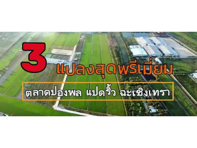 ขายด่วน! ที่ดินสีม่วง ราคาถูกที่สุดในย่านนี้ เหมาะสำหรับสร้างโรงงาน โกดัง หรือทำธุรกิจ ใกล้กรุงเทพฯ ทำเลดี เดินทางสะดวก