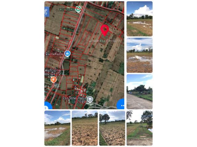 ขายที่นา 2 ไร่ แปลงสวย ติดทางสาธารณะประโยชน์ อยู่บ้าน เบาะอุ่น ใกล้หมู่บ้านแหล่งชุมชน