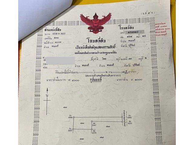 ขายด่วนที่ซอยข้างบิ๊กซี อ.หนองกี่ ส่วยมาก 2 งาน 5 ตารางวา