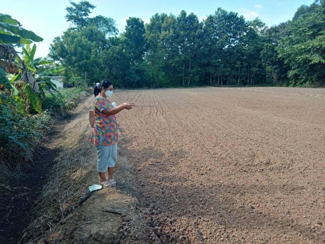 ขายที่ดิน โฉนดเลขที่ 20654 เนื้อที่ 2-3-40 ไร่