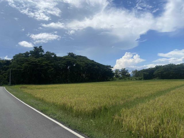 ขายที่ดินเชียงใหม่ ใกล้ โรงพยาบาลดอยสะเก็ด เนื้อที่ 3-0-20 ไร่
