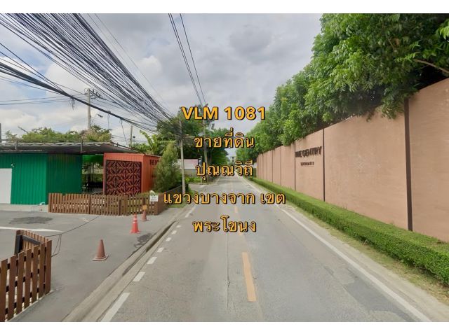 VLM 1081  ขายที่ดิน ซอยปุณณวิถี แขวงบางจาก เขตพระโขนง  เนื้อที่ 300 ตารางวา