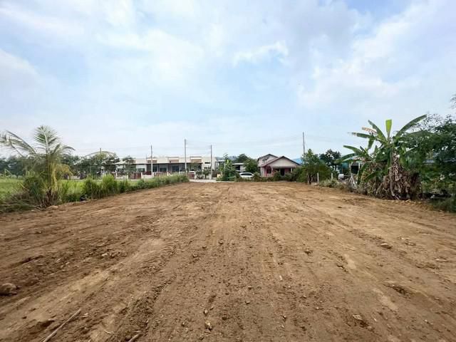 ขายที่ดิน126ตรว วิวภูเขา ติดสวนนงนุช ราคาถูก บางเสร่ ชลบุรี