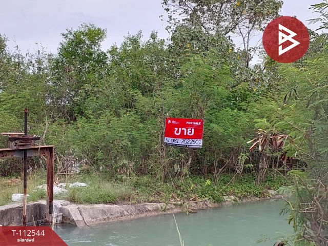 ขายที่ดิน เนื้อที่ 19 ไร่ 1 งาน 77 ตร.วา หัวไทร นครศรีธรรมราช
