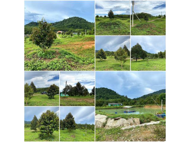 บ้านสวนทุเรียนโฉนด 27 ไร่ ติดคอนกรีต/ที่สวยวิวเขา️