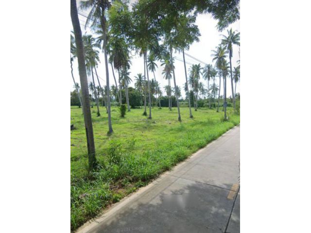 ที่ดินเปล่า ติดถนน 3 ด้าน ห่างจากถนนชบ. 1008 แค่ 400 เมตร