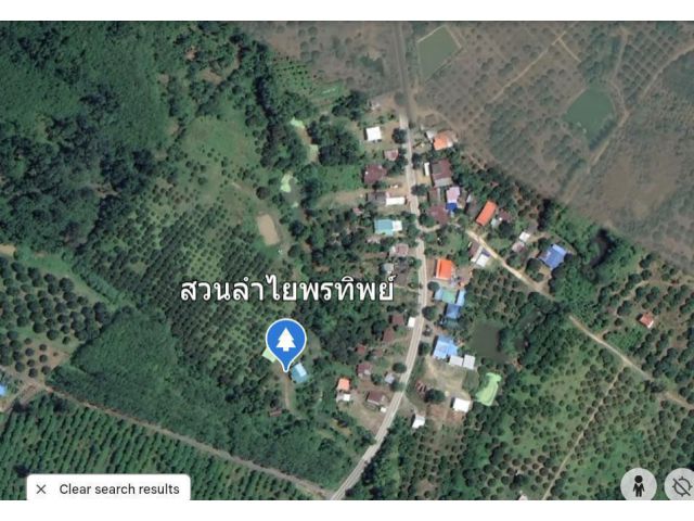ขายสวนลำไย
