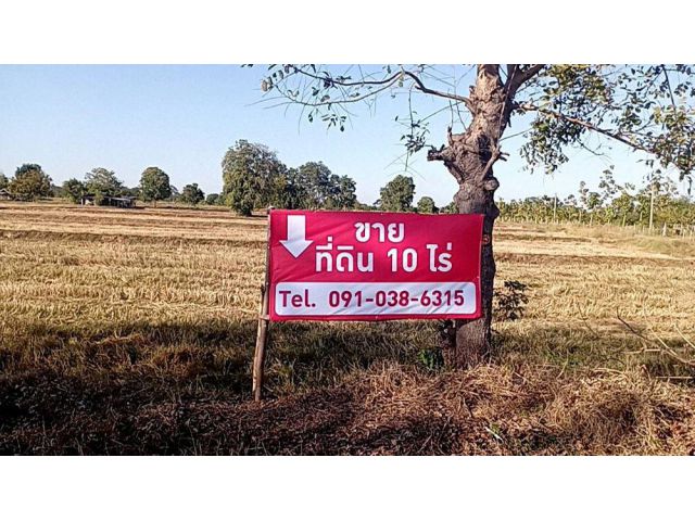 ขายที่ดิน 10 ไร่ แปลงหัวมุม ติดถนน พร้อมโฉนดครุฑแดง ราคาเพียง 7 ลบ. ถูกสุดในย่านนี้ อ.ลำปลายมาศ จ.บุรีรัมย์