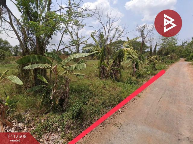 ขายที่ดิน เนื้อที่ 41 ตร.วา หนองจอก กรุงเทพมหานคร