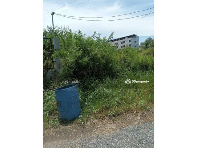 ที่ 119 ตรว เมืองเอก บางปู