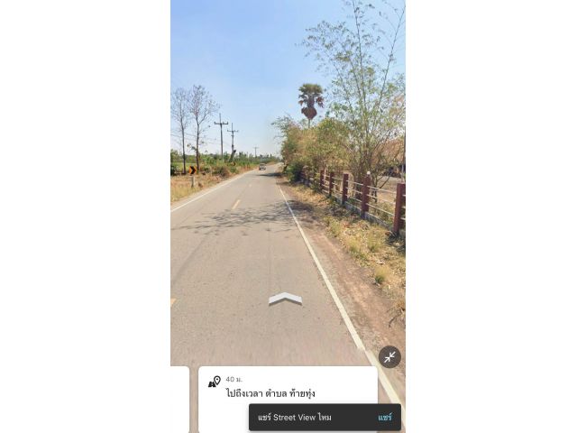 ขายที่ดิน 3แปลงติดกัน แยกแปลงขายได้ ตำบลท้ายทุ่ง อำเภอทับคล้อ จังหวัดพิจิตร