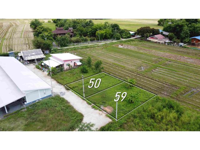 ที่ดินแบ่งขาย 50 และ 59 ตร.ว. เริ่มต้น 300,000 บาท น้ำไฟถนนคอนกรีตพร้อม!