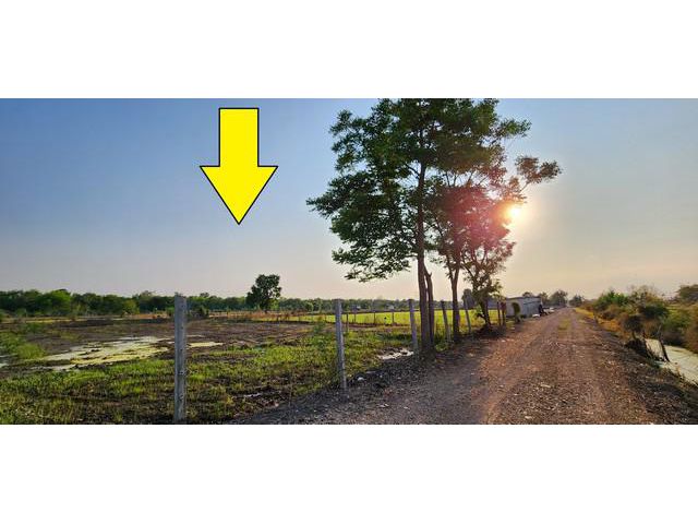 ขายที่ดินคลอง 12 หนองเสือ 361 ตรว ราคาถูก